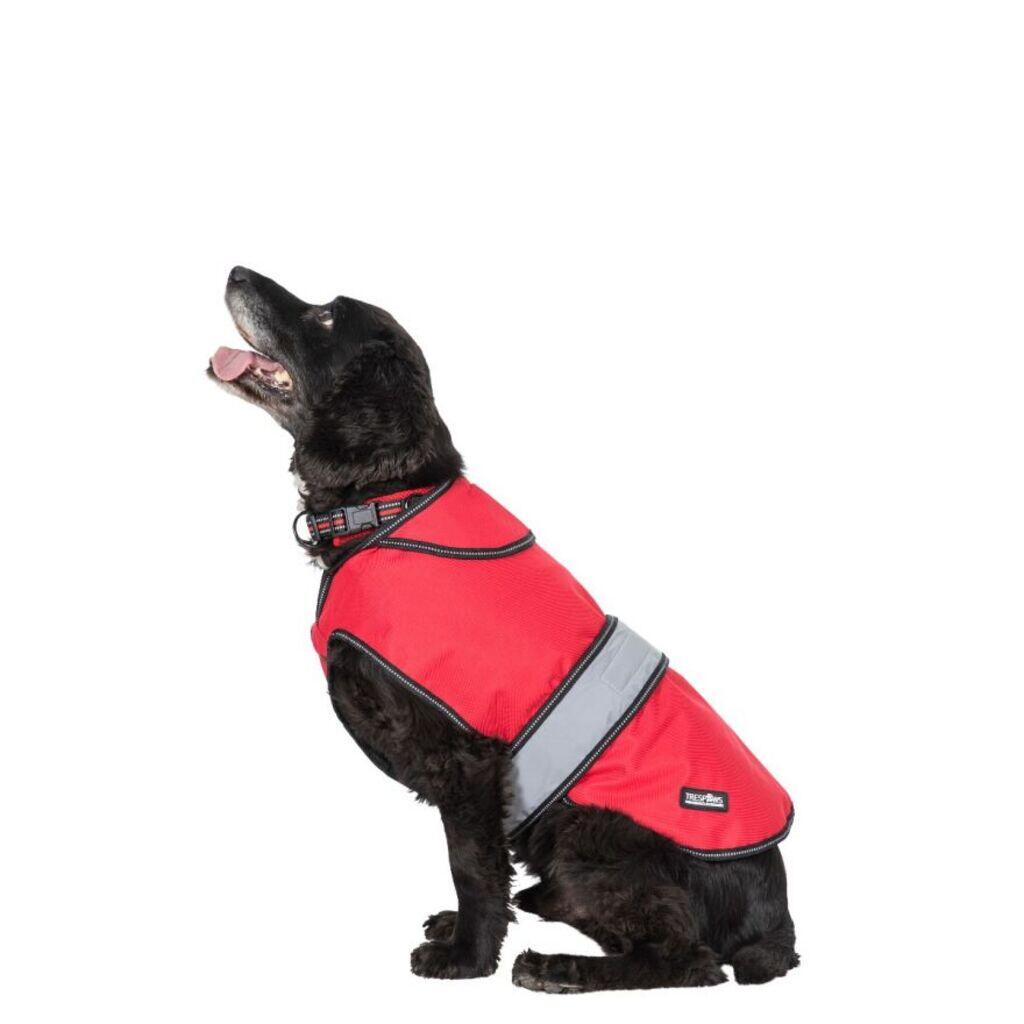 Hundemantel Trespass Duke X 7/7
