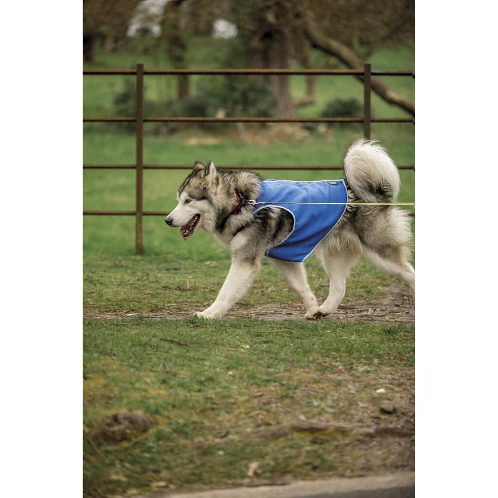Trespass ALASKA - Hundekühlweste 6/6