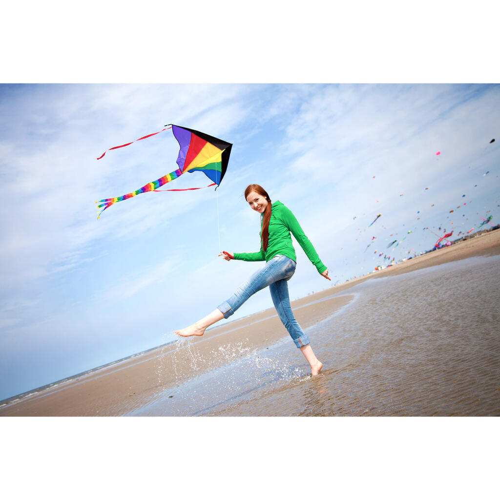 Papagaio para crianças HQ Simple Flyer 120 Rainbow 102145 Rainbow 120 x 75 cm 7/7
