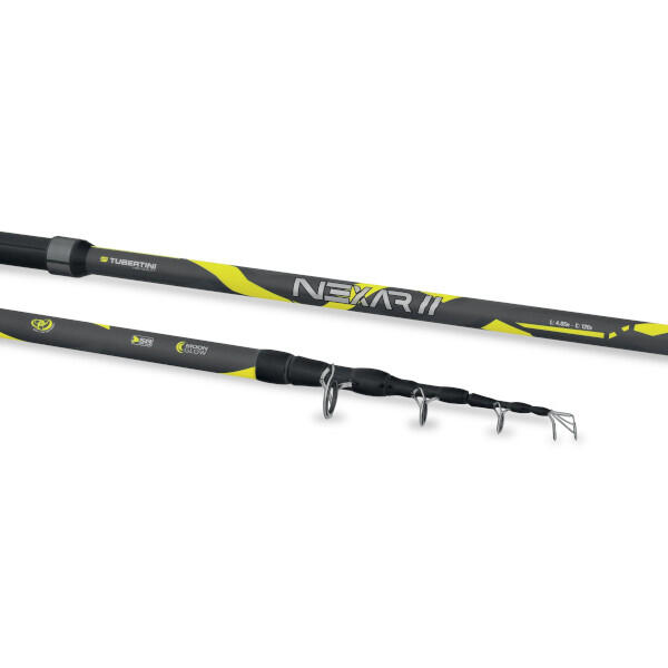 Nexar II 100gr Brandungsrute 2/4