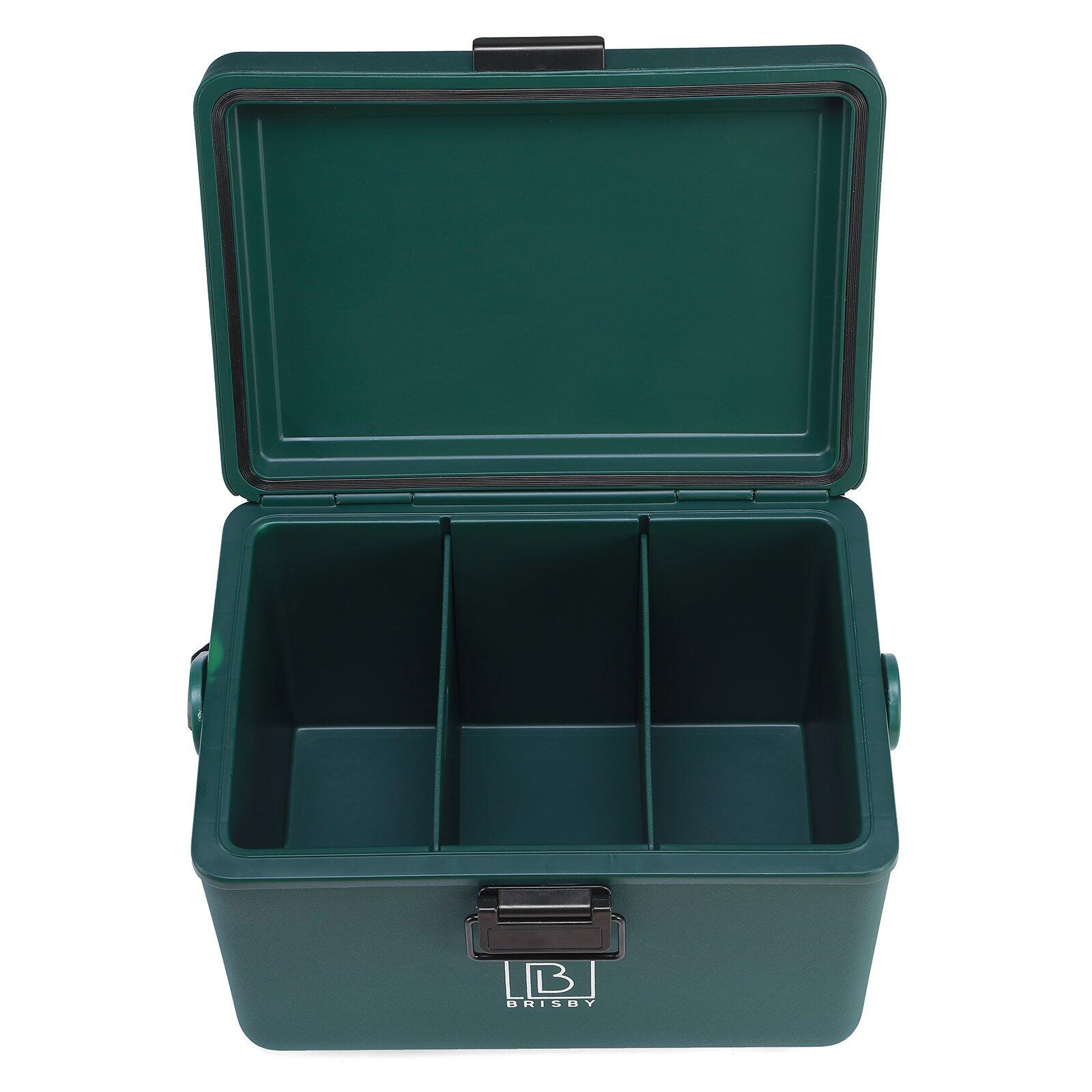Brisby Koelbox 12L met draagband Groen 3/5