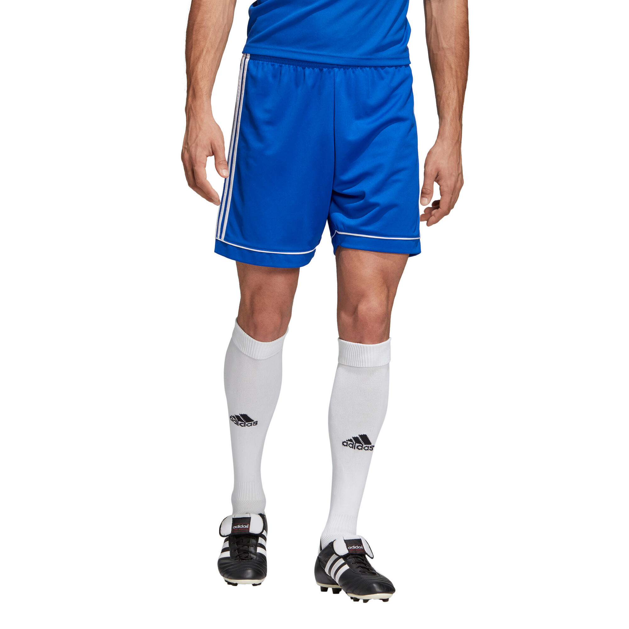 Pantaloncini adidas Squadra 17 2/6