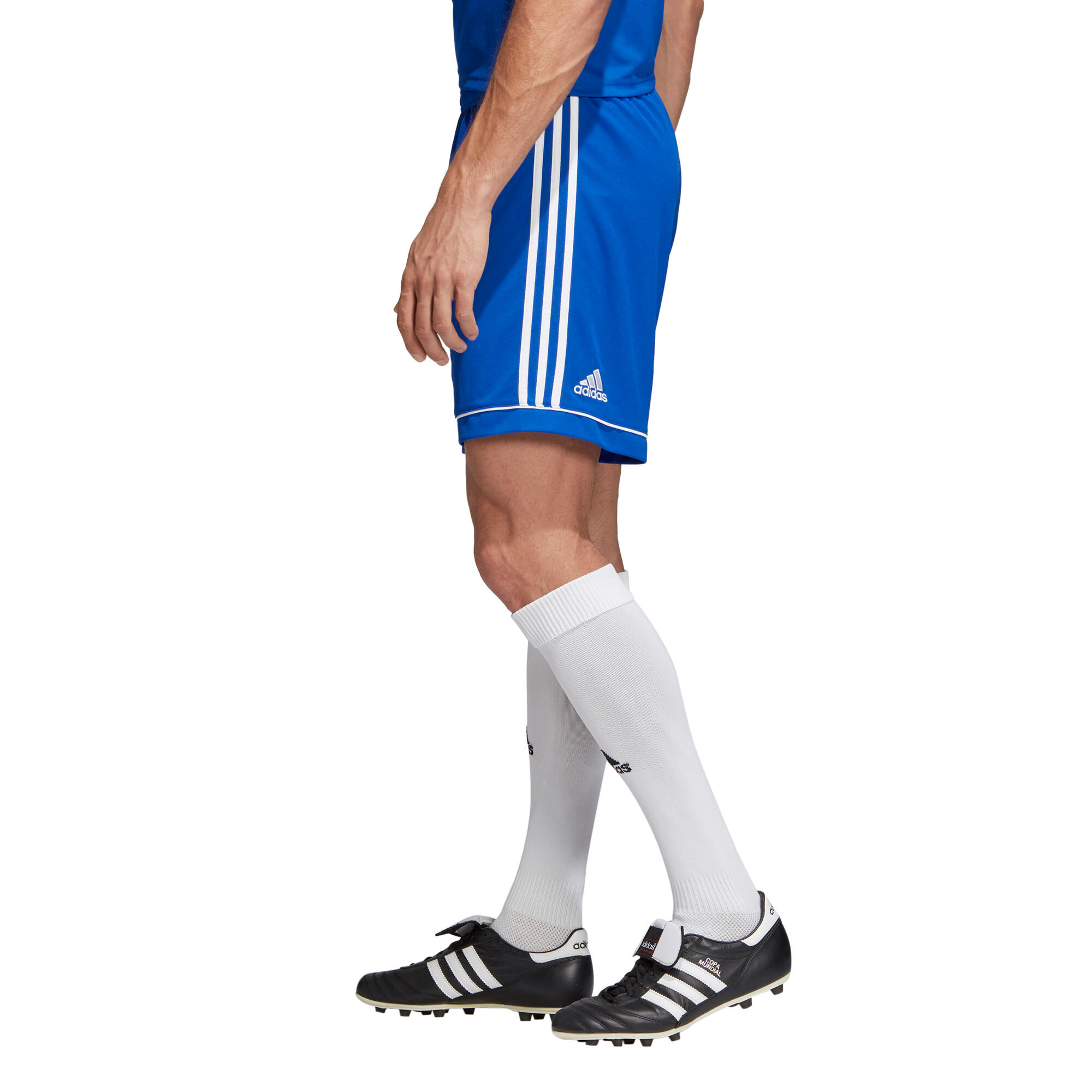 Pantaloncini adidas Squadra 17 5/6