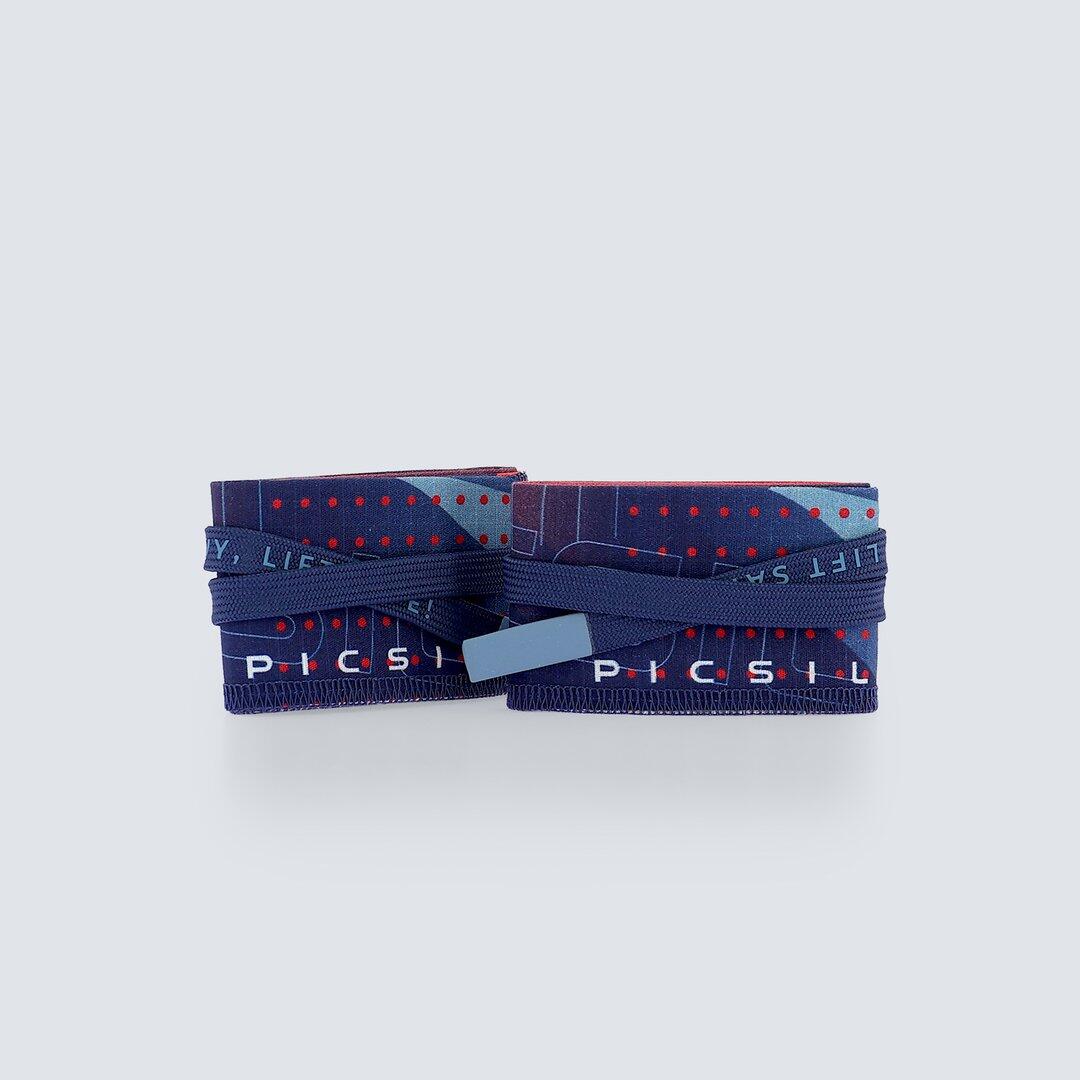 PICSIL picture