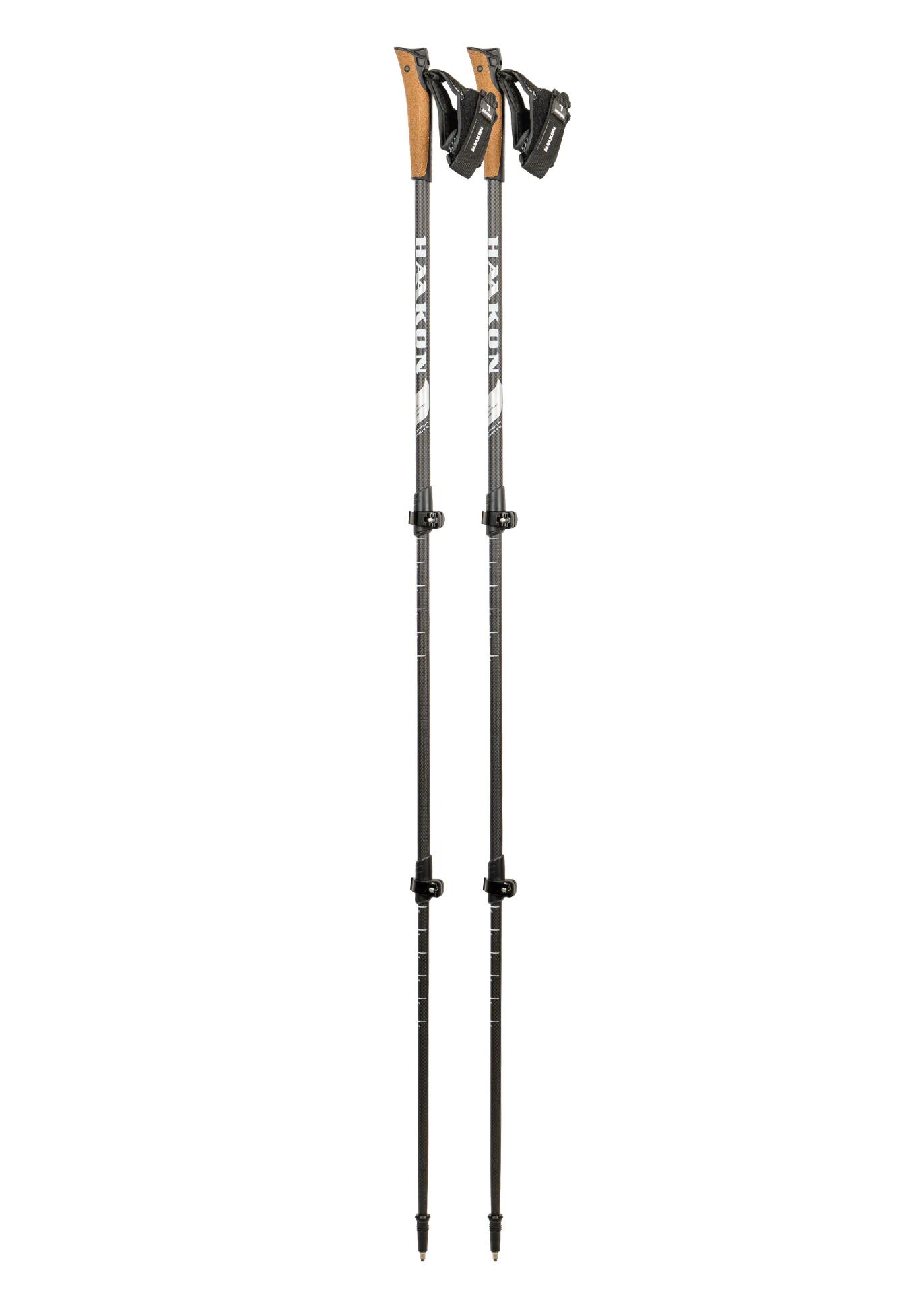 Nordic walking hole HAAKON Silver Double Telescopic 4/7