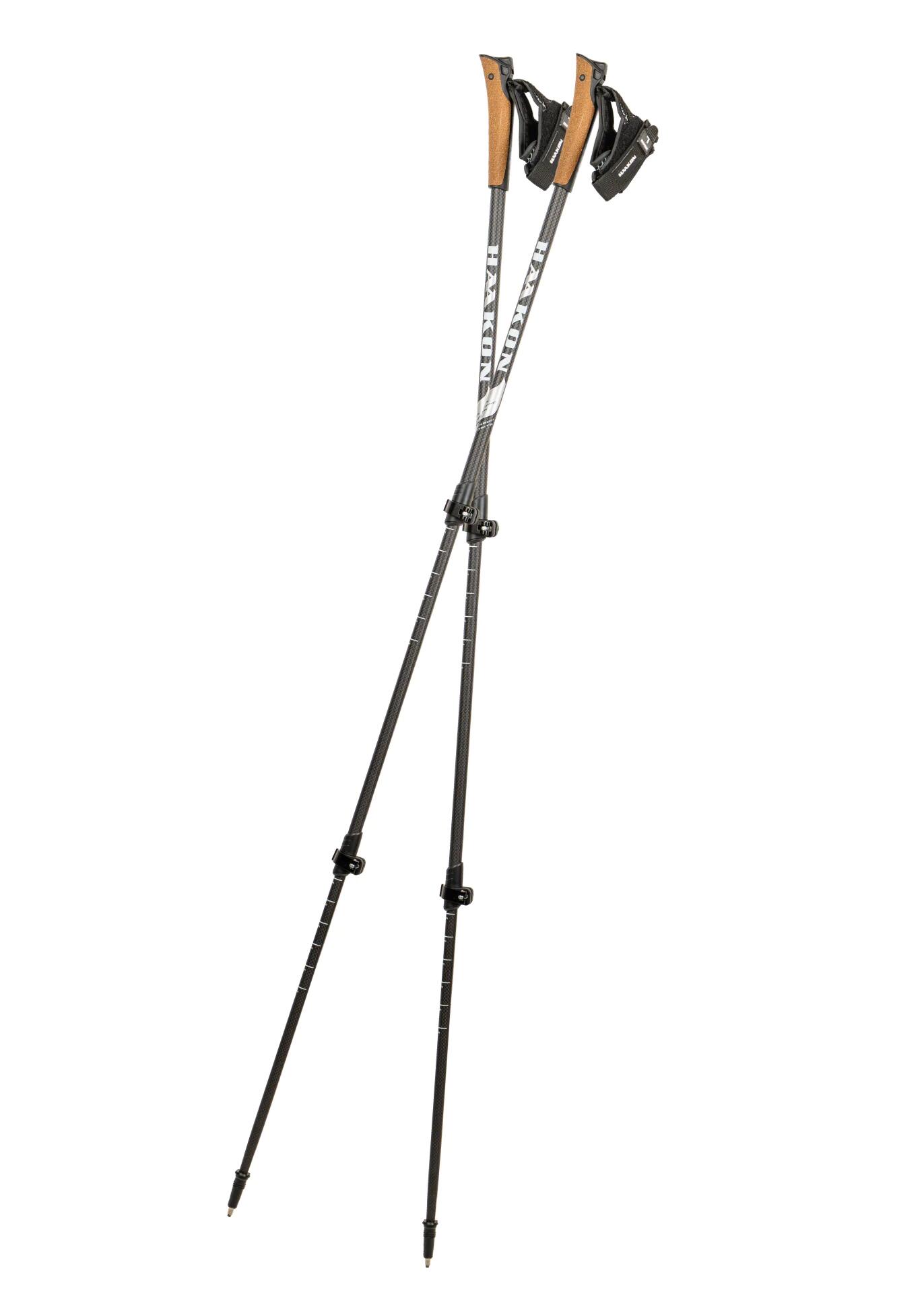 Nordic walking hole HAAKON Silver Double Telescopic 3/7
