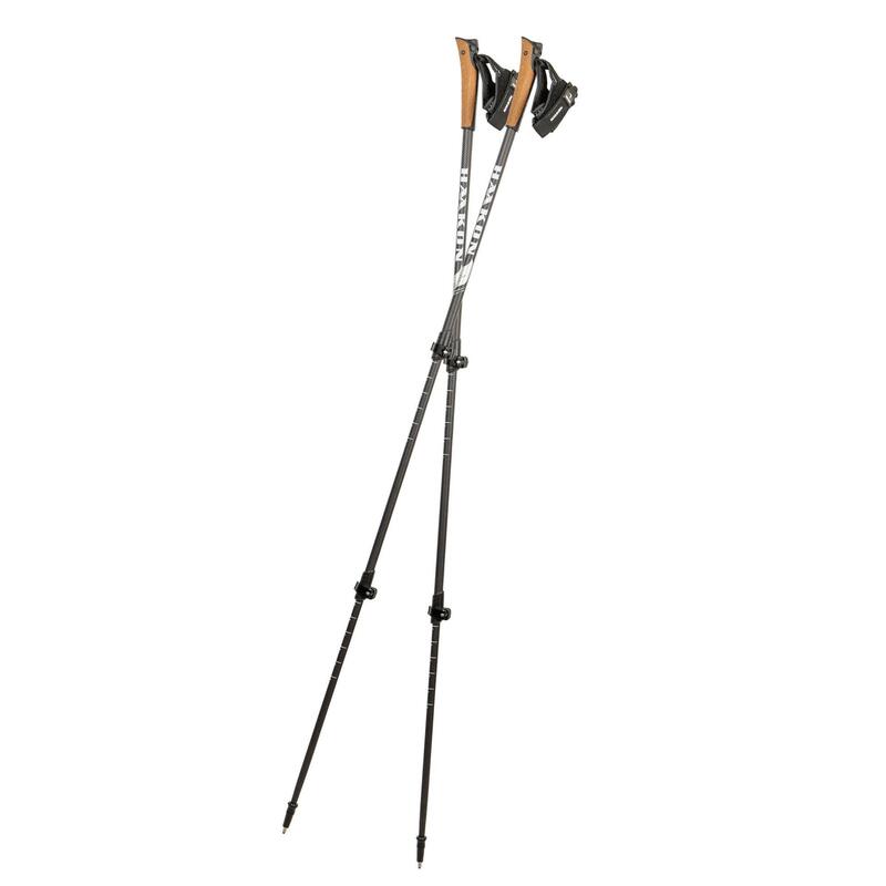 Nordic walking hole HAAKON Silver Double Telescopic