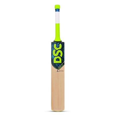 DSC Roar Blast Cricket bat – Kashmirweide. Kurzgriff