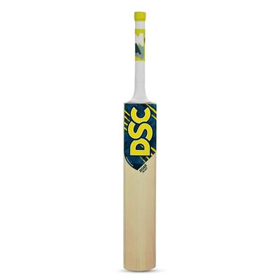 DSC Roar Blast Cricket bat – Gr. 5, Kashmirweide