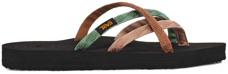 TEVA picture