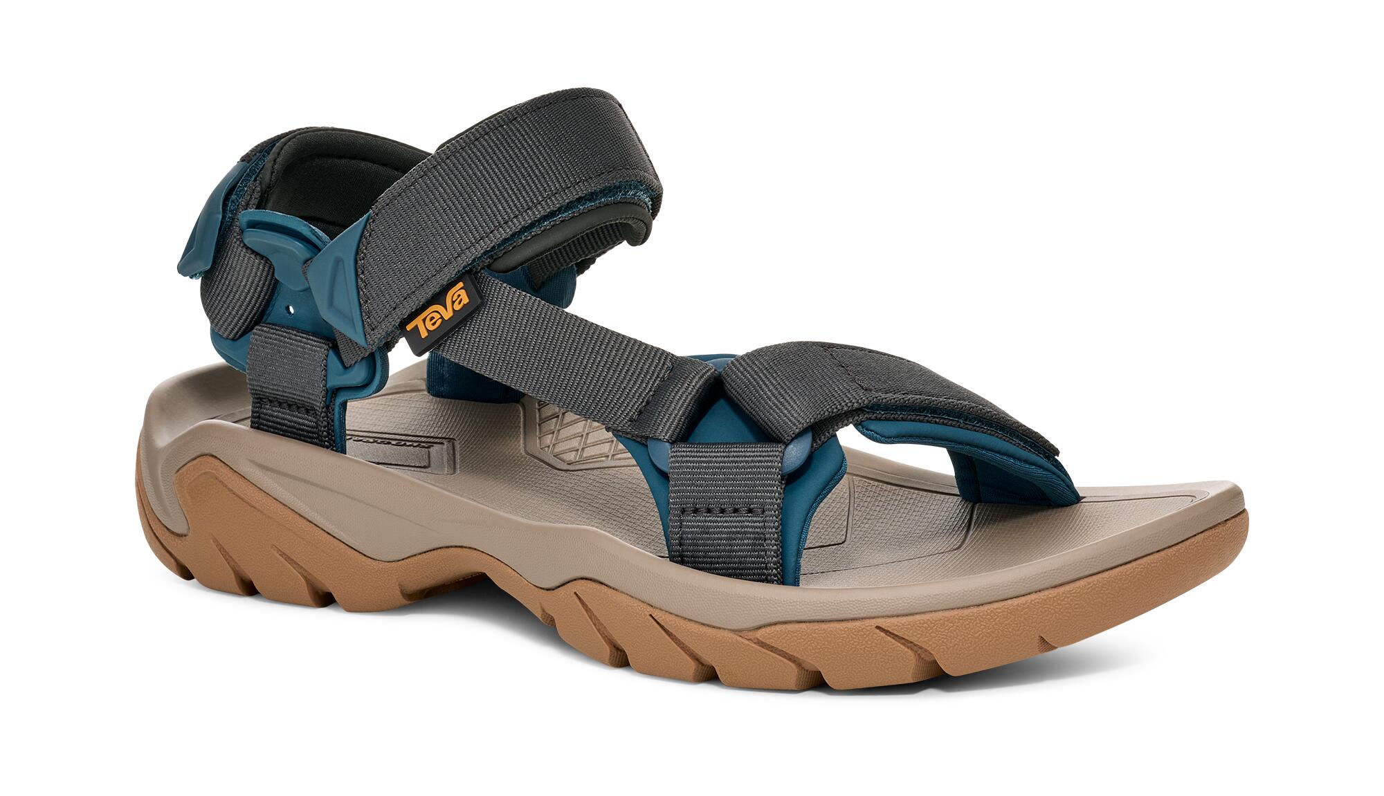 TEVA picture
