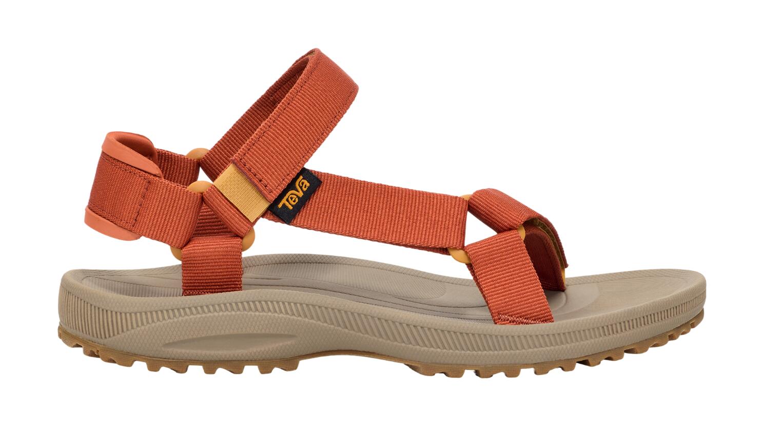 TEVA picture