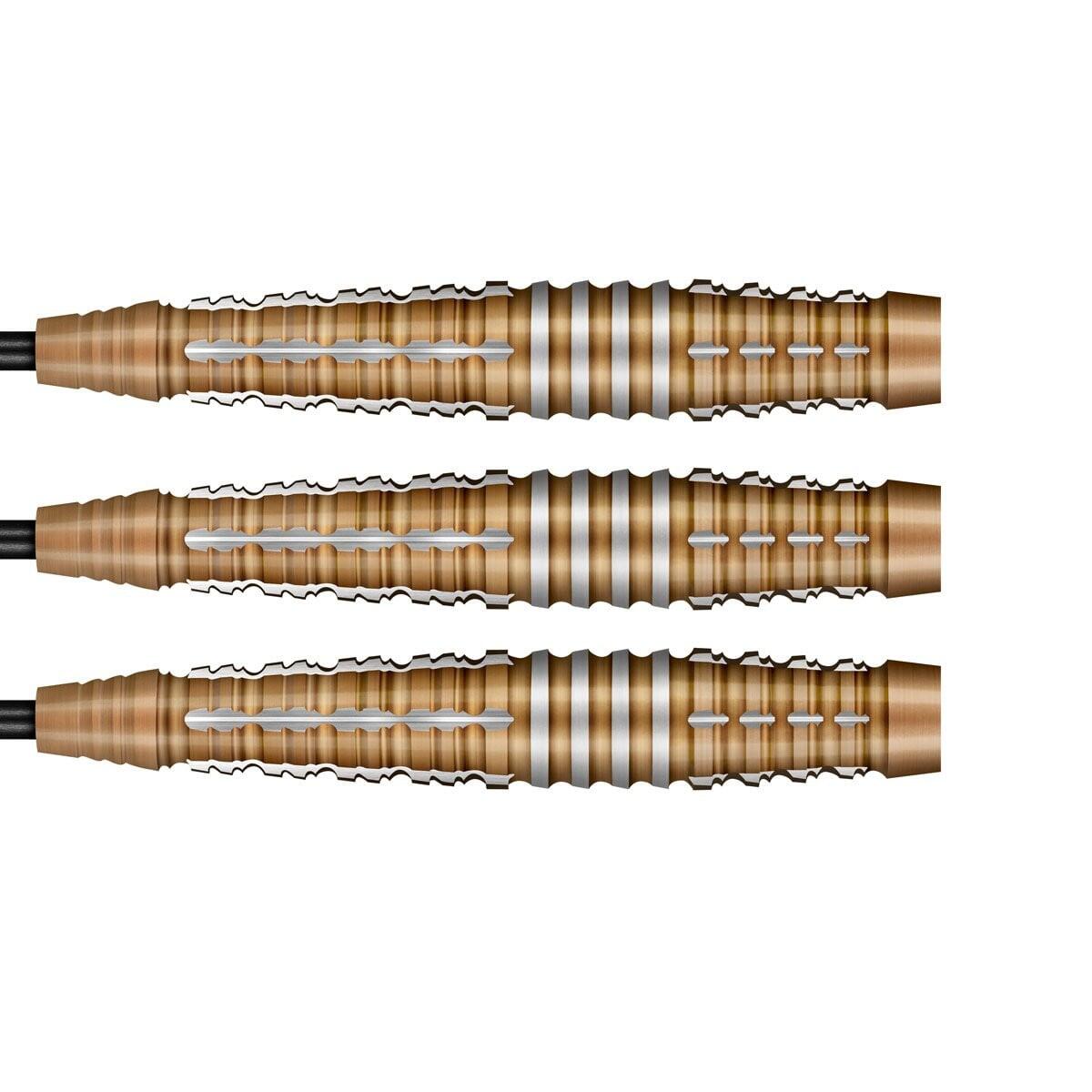Shot Future Knights Hachette 90 % Steeldarts 24gr. 2/6