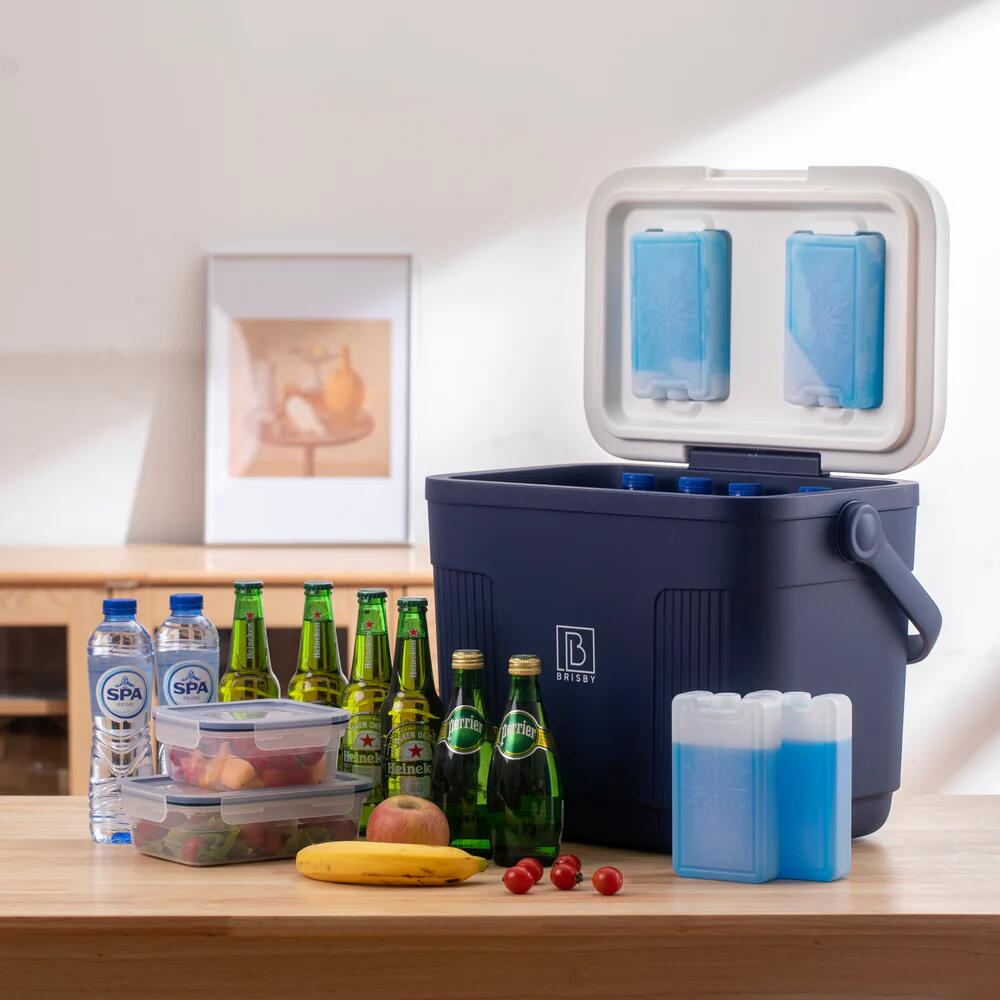 Brisby Koelbox  22Liter Blauw 3/6