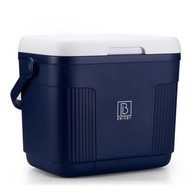 Brisby koelbox 22liter zwart