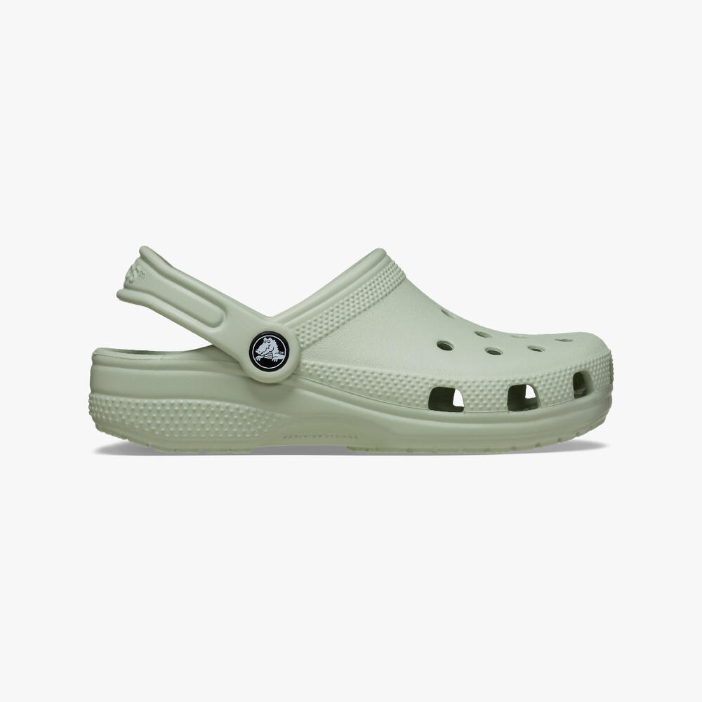 CROCS picture