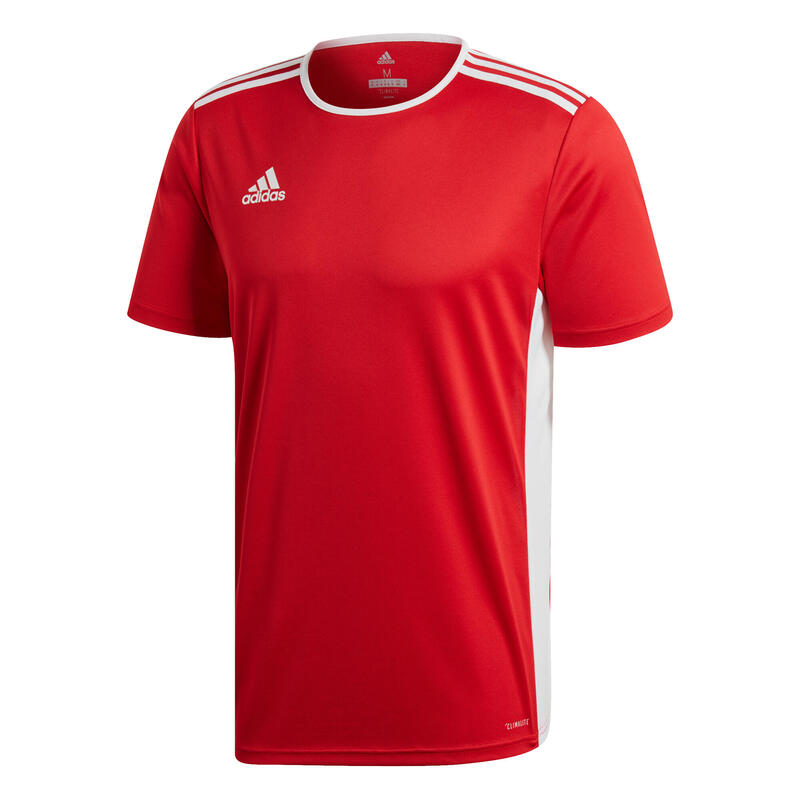 Teamtrikot Entrada 18