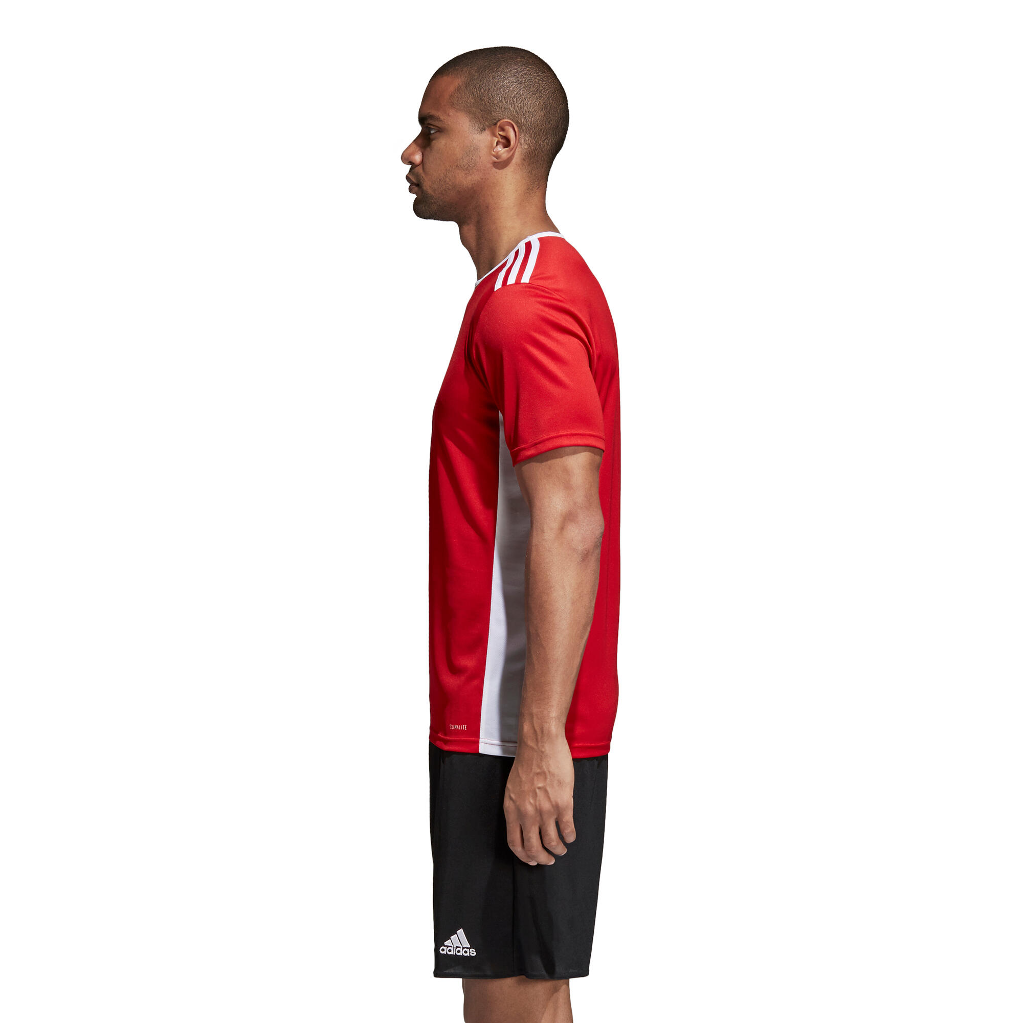 Jersey adidas Entrada 18 5/7