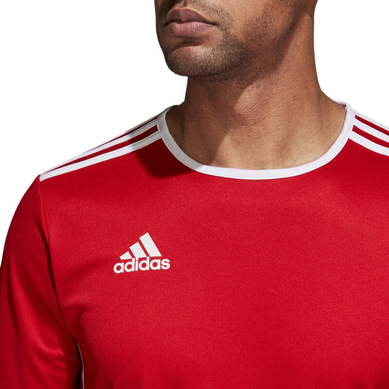 Teamtrikot Entrada 18