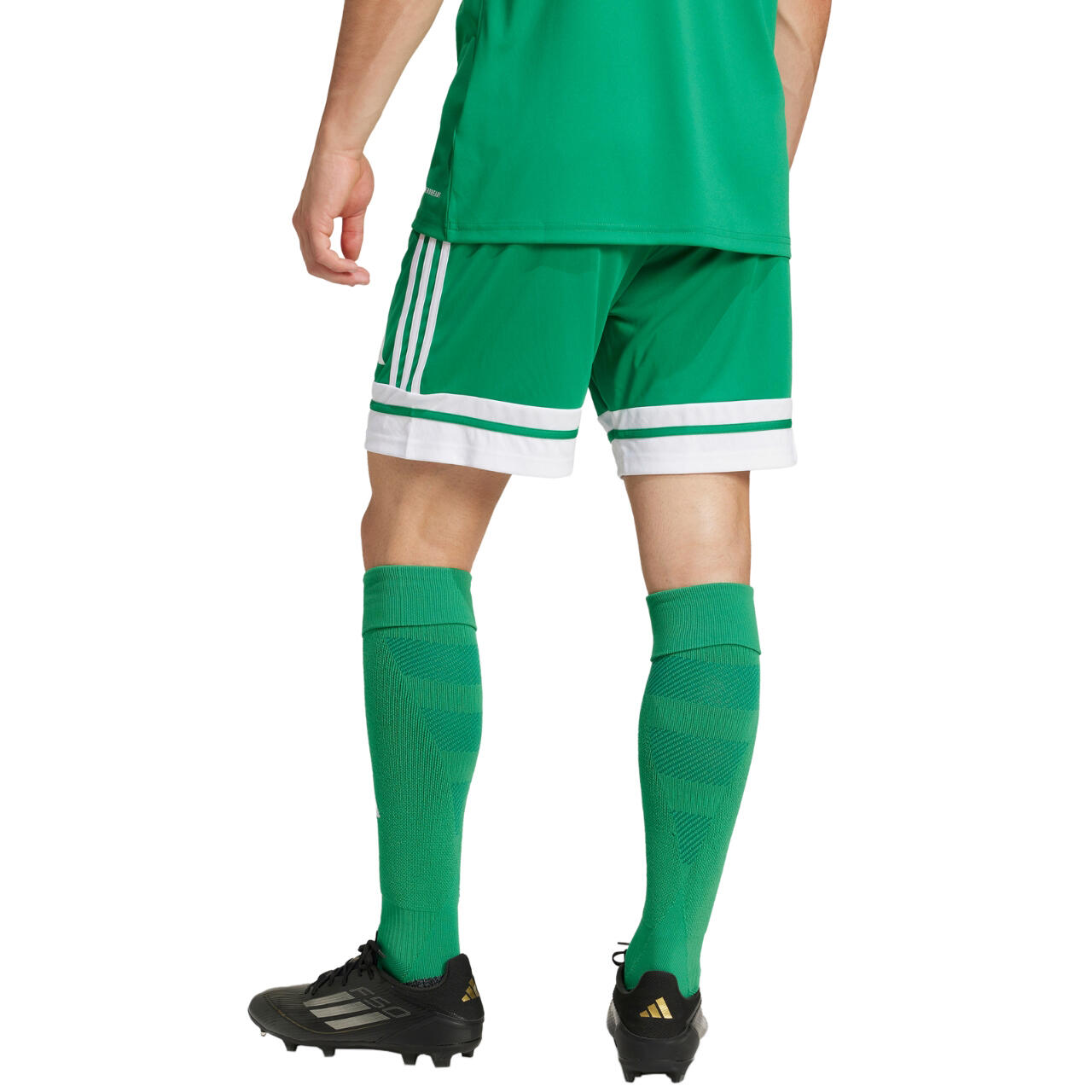 adidas Herren Short Squadra 25 3/9