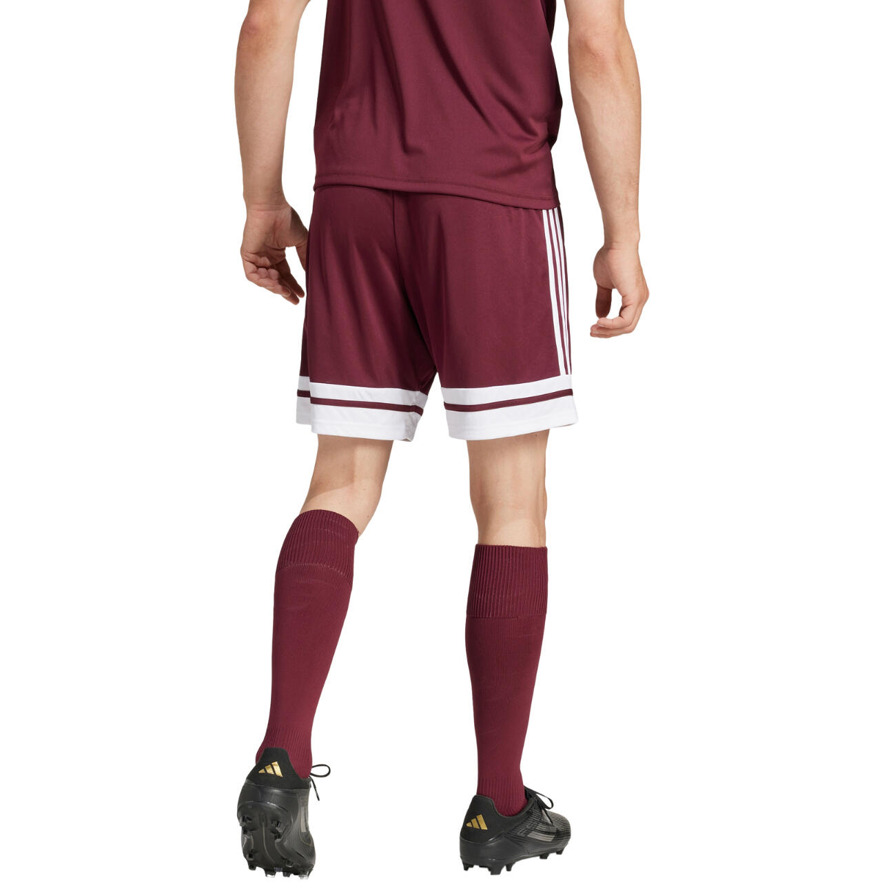 adidas Herren Short Squadra 25 3/8