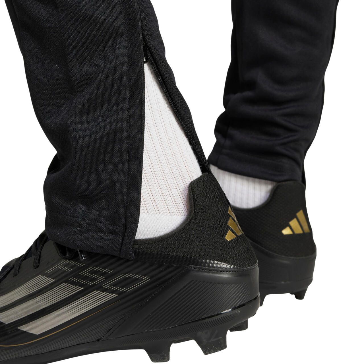 Squadra 25 Training Pants 6/7