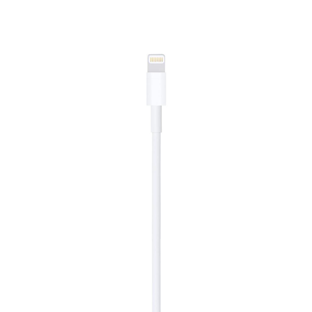 Cabo Lightning para USB (2 m) 3/3