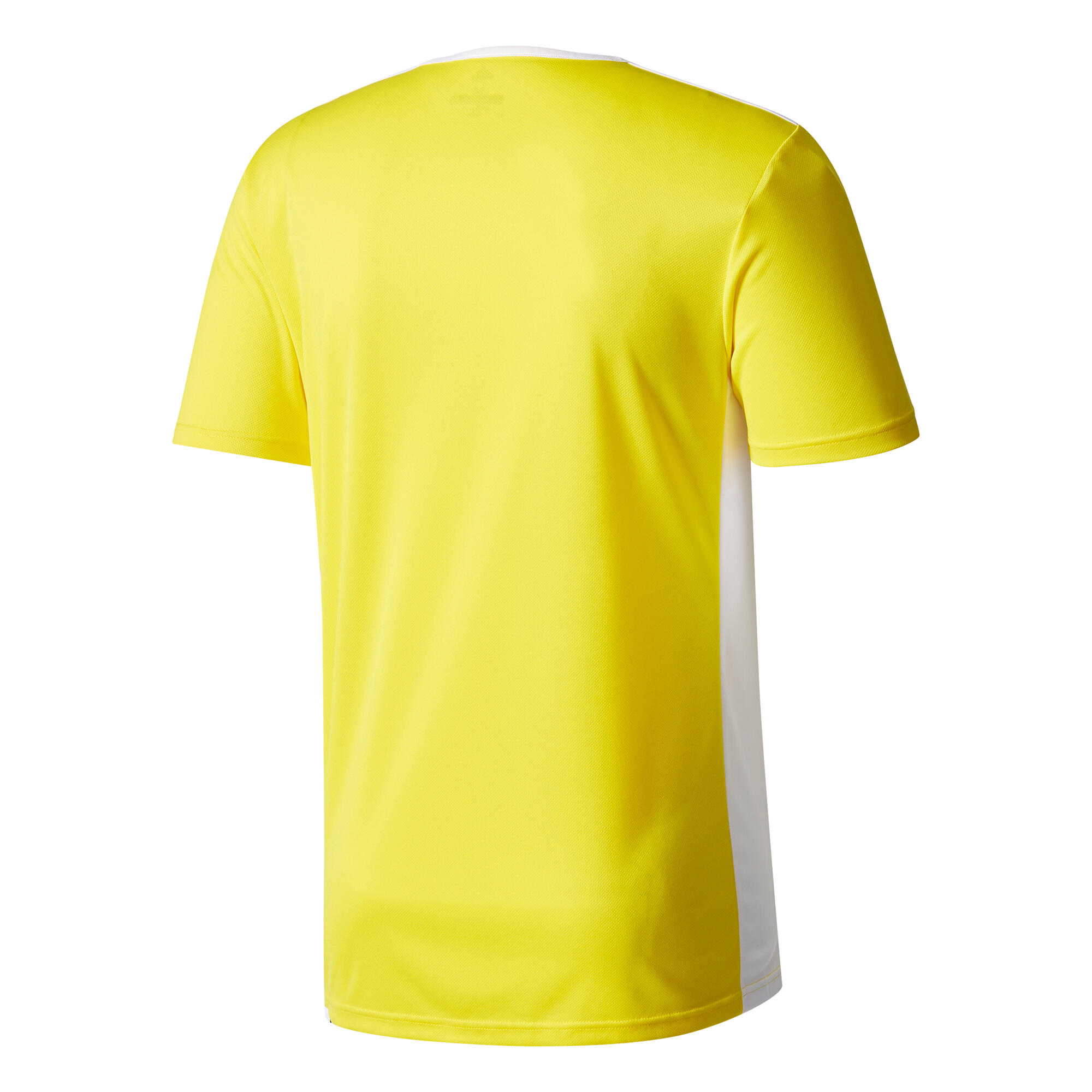 Camisola adidas Entrada 18 2/5