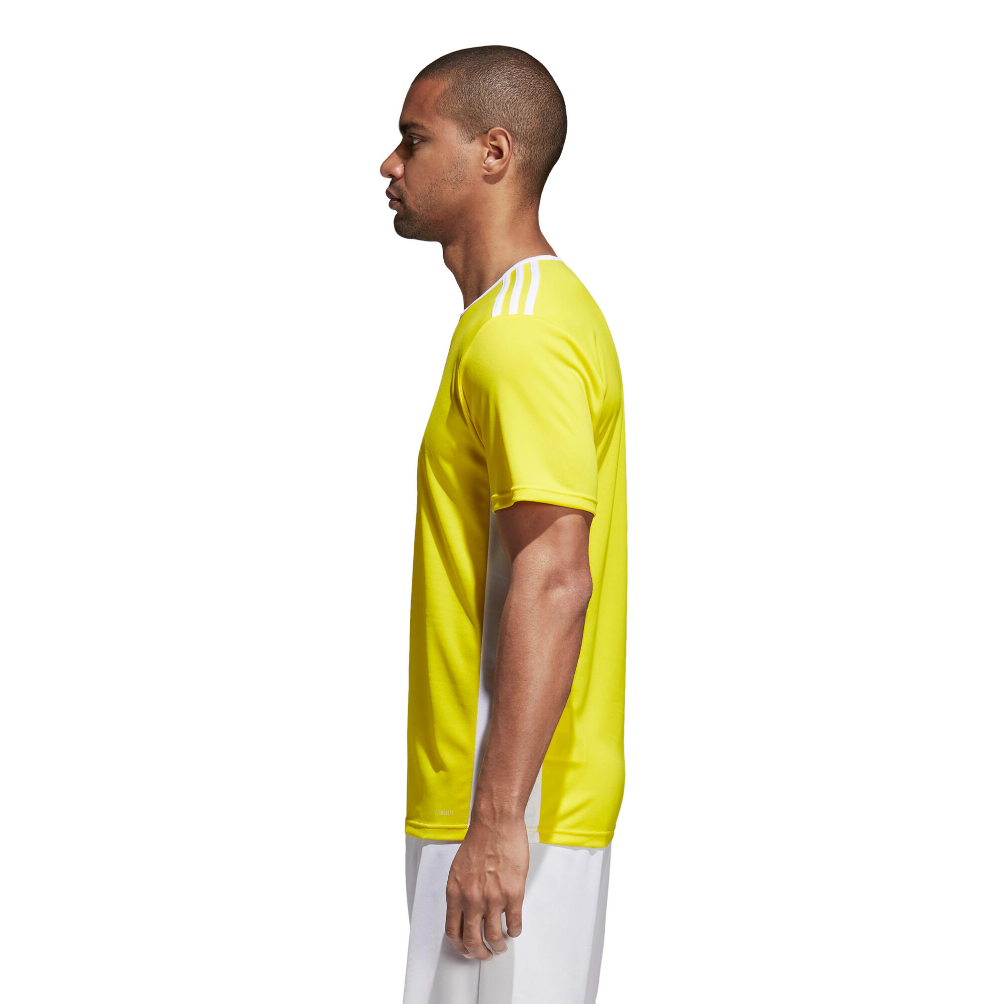 Camisola adidas Entrada 18 4/5