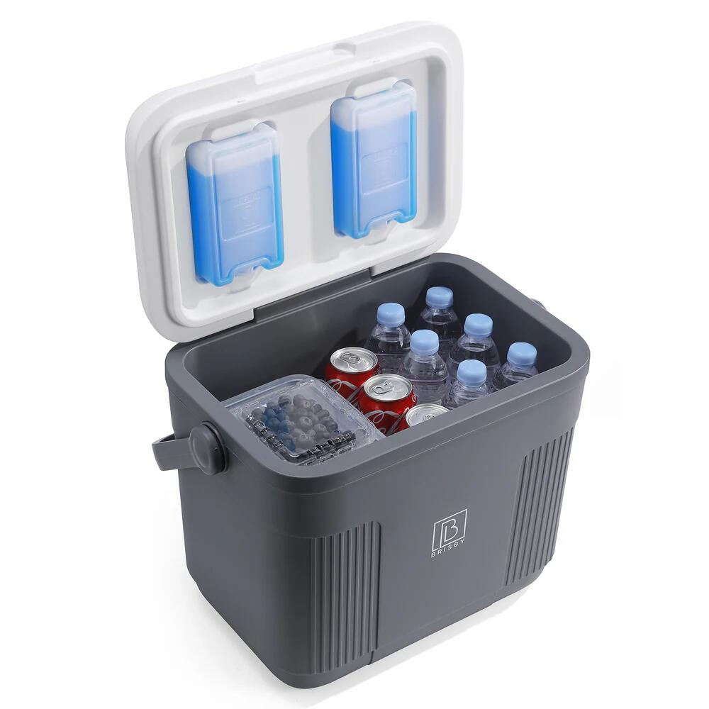 Brisby Koelbox  22Liter Grijs 6/7