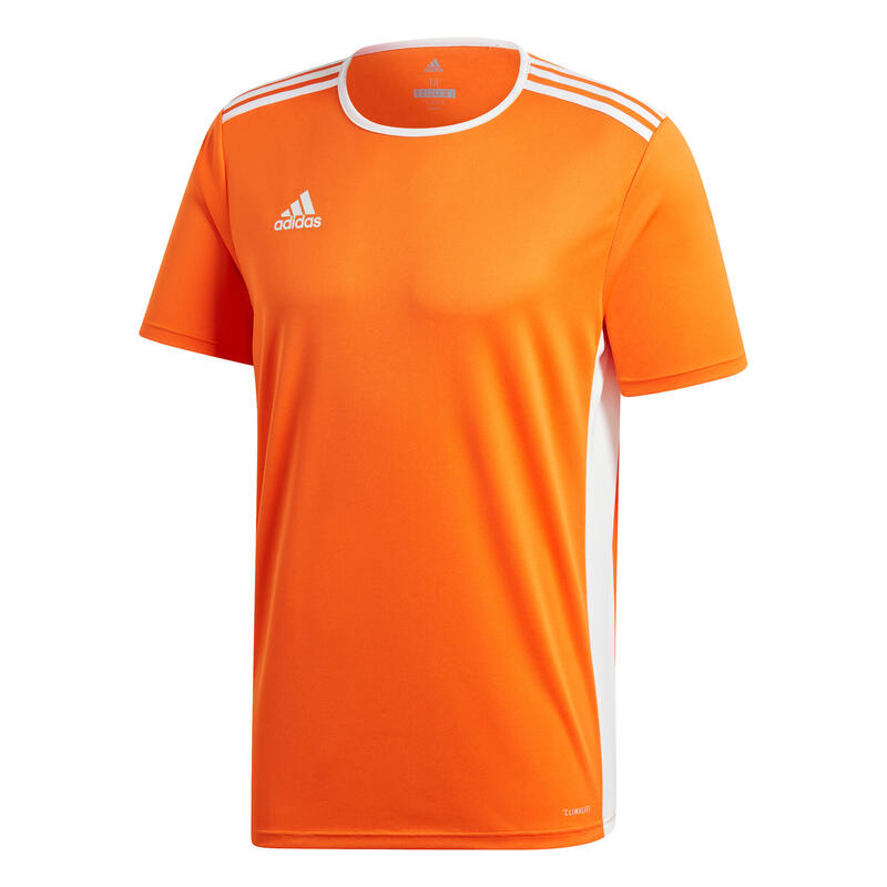 Maillot adidas Entrada 18