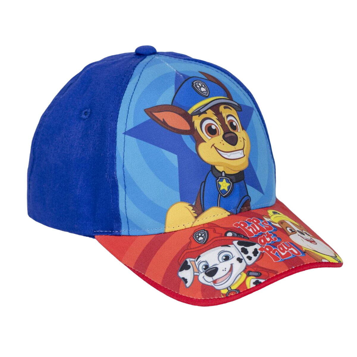 PAW PATROL picture