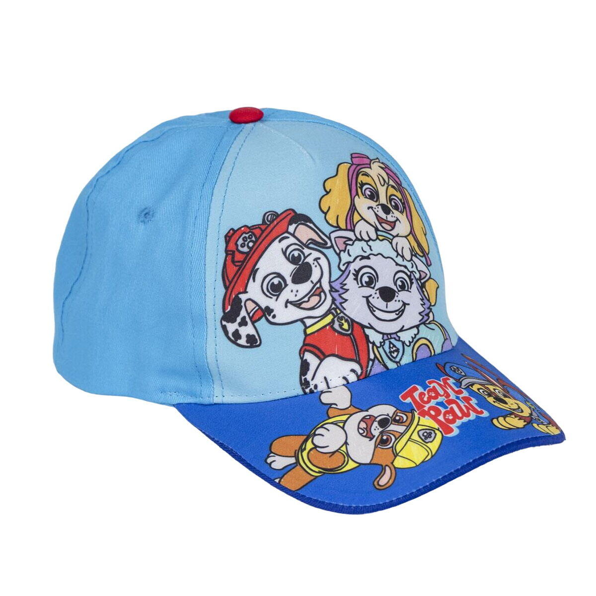 PAW PATROL picture