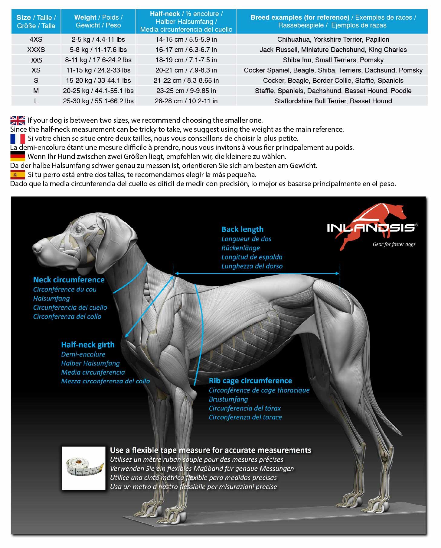 Harnais canicross petit chien Open-Back – Inlandsis 2/7