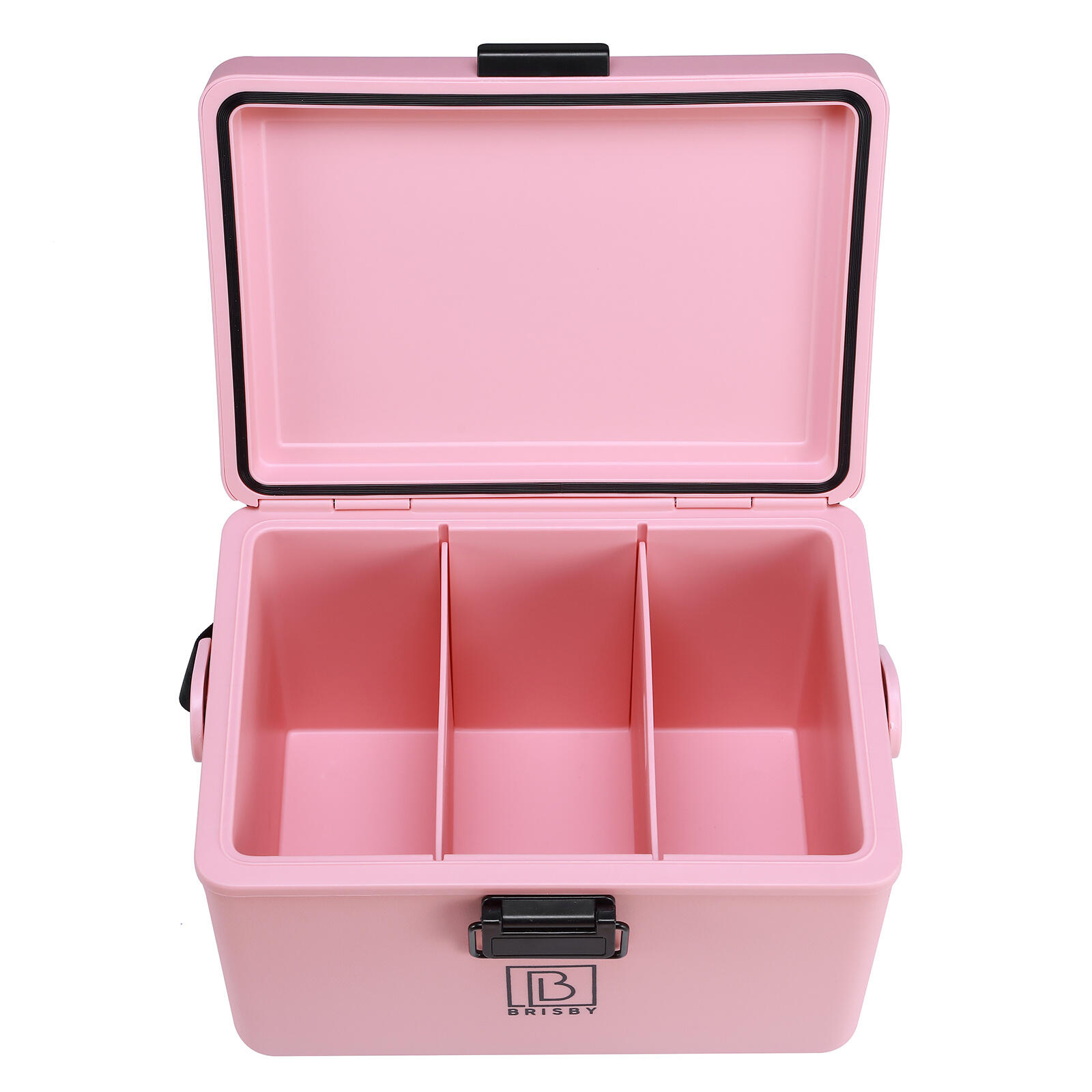 Brisby Koelbox 12L met draagband Roze 5/7