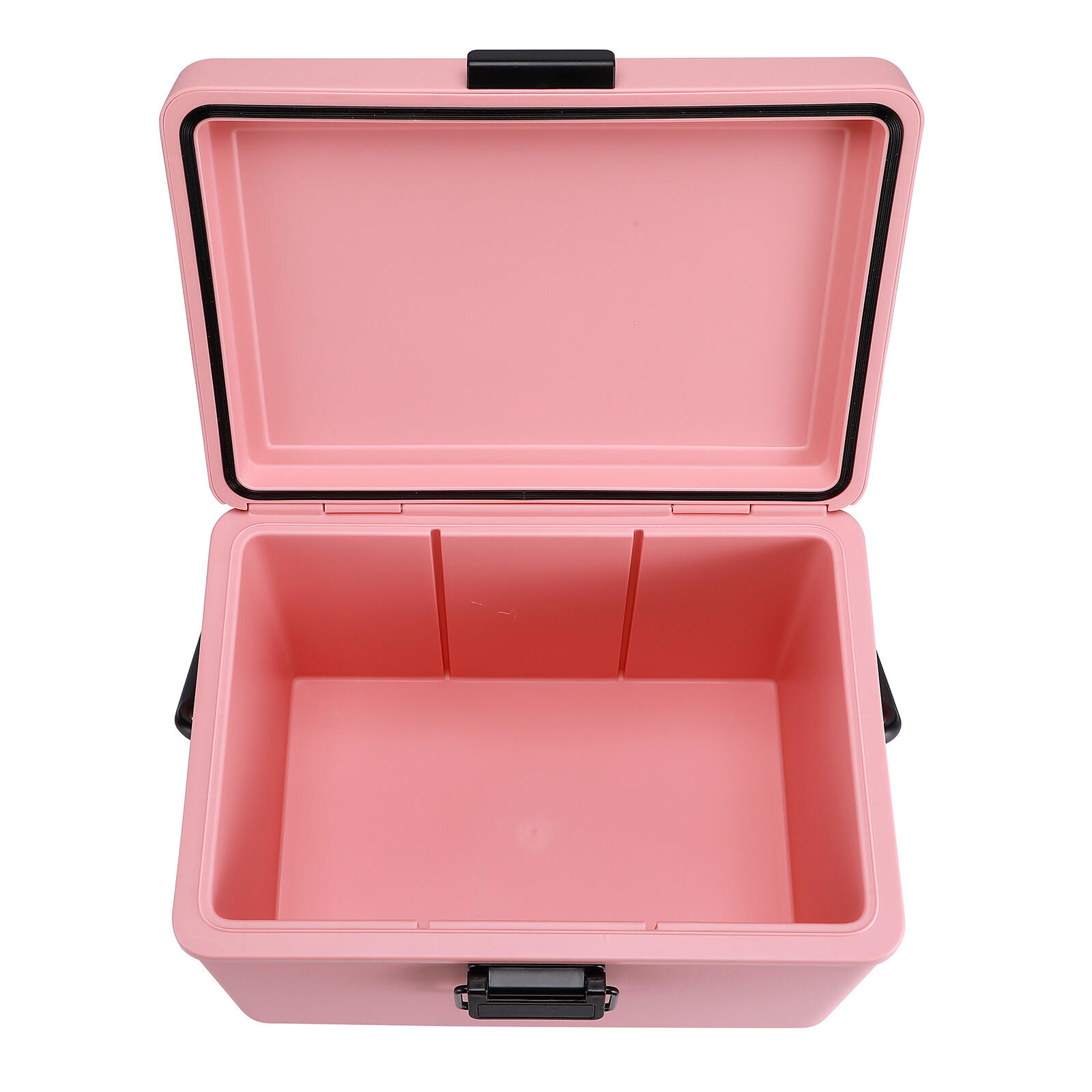 Glacière Brisby 12L Rose 2/6