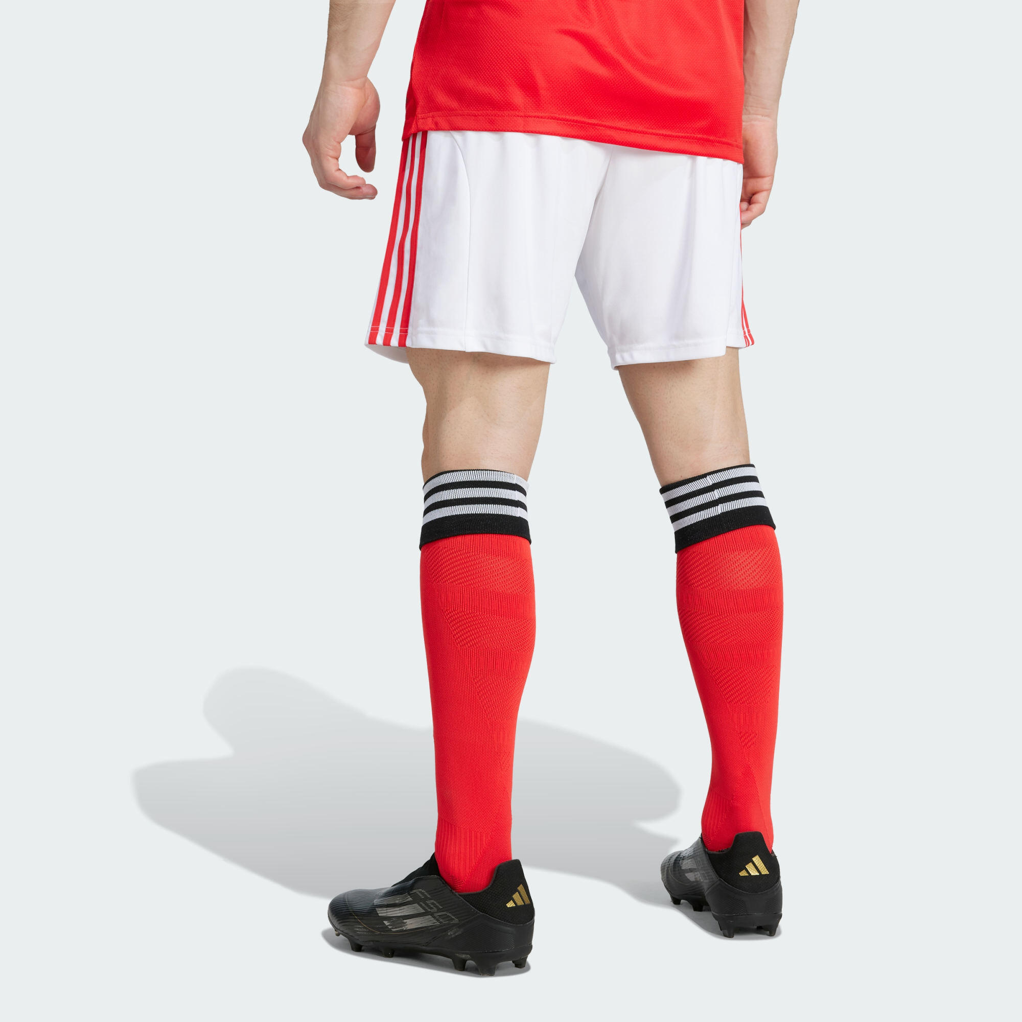 Benfica Lissabon 25/26 Heimshorts 3/6