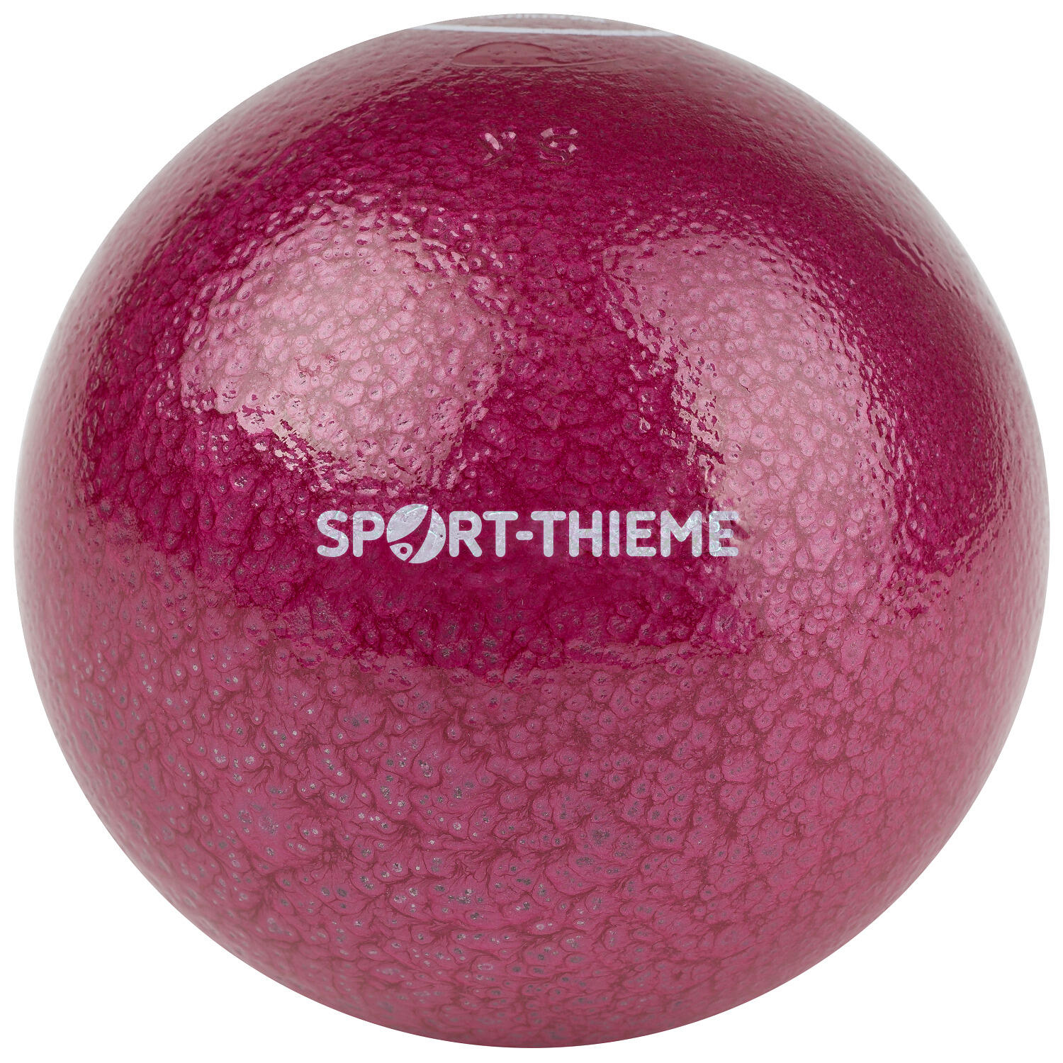 SPORT-THIEME picture