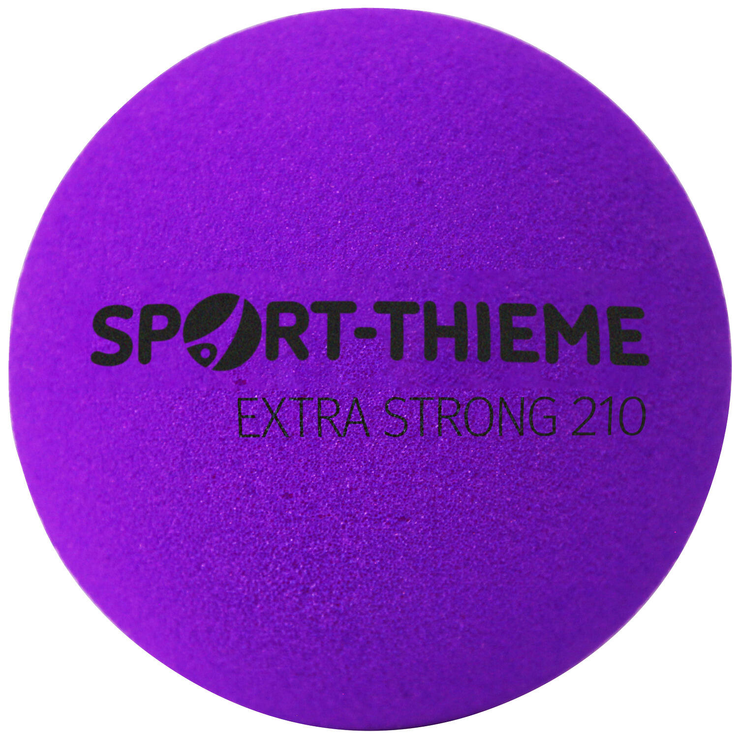 SPORT-THIEME picture