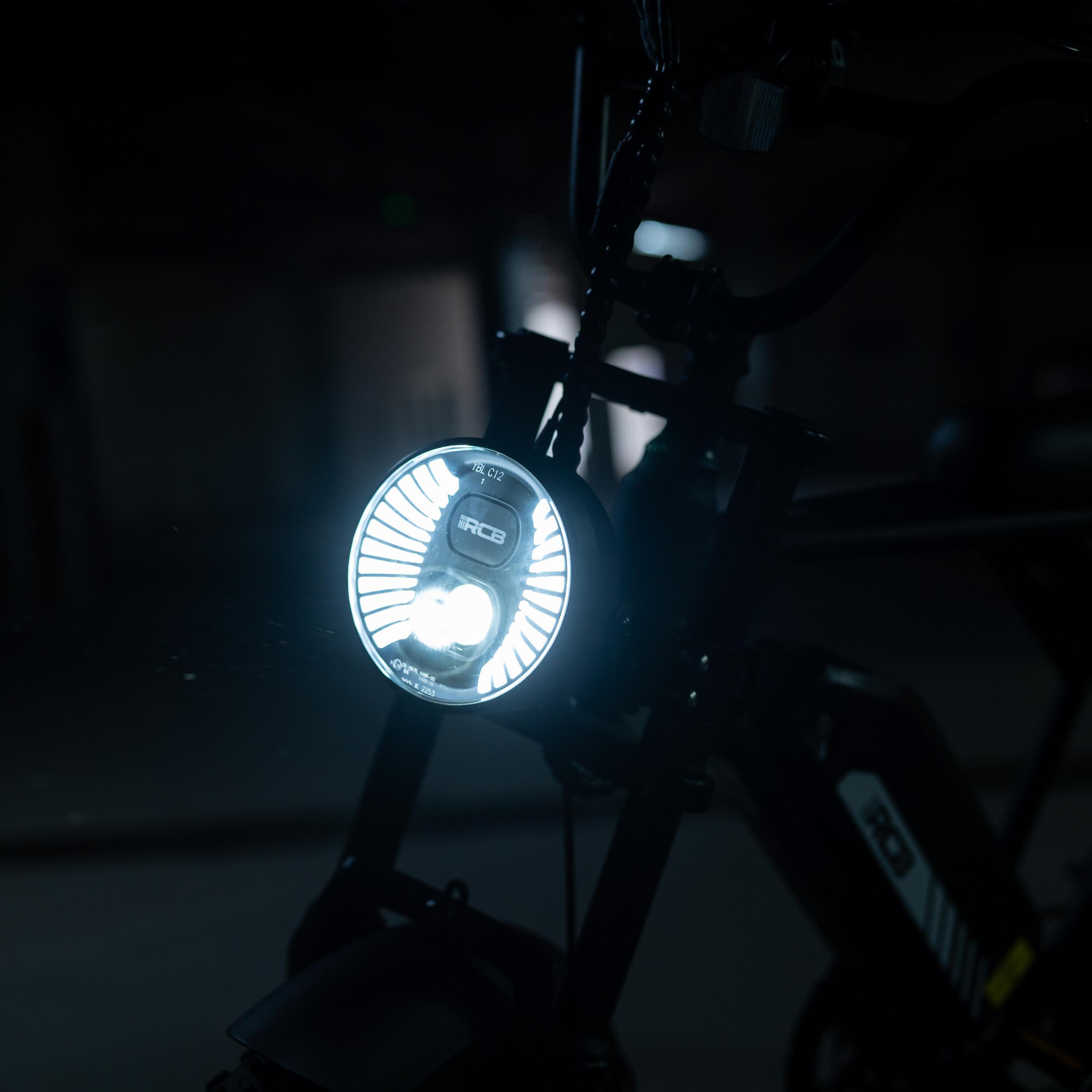 Bicicletta elettrica per adulti da 20"RCB-RK29 6/9
