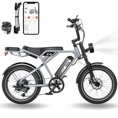 E-Bike Vollfederung Elektrofahrrad 20"City E-Bike RCB-RK29