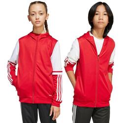 Sweat-shirt enfant adidas Squadra 25 Hoody Jr teagrn/white