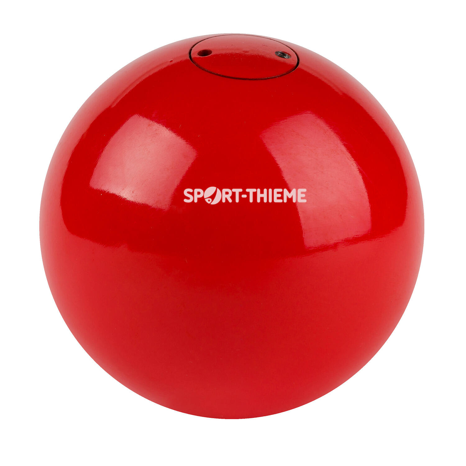 SPORT-THIEME picture