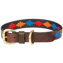 Collier pour chien en cuir Weatherbeeta Polo