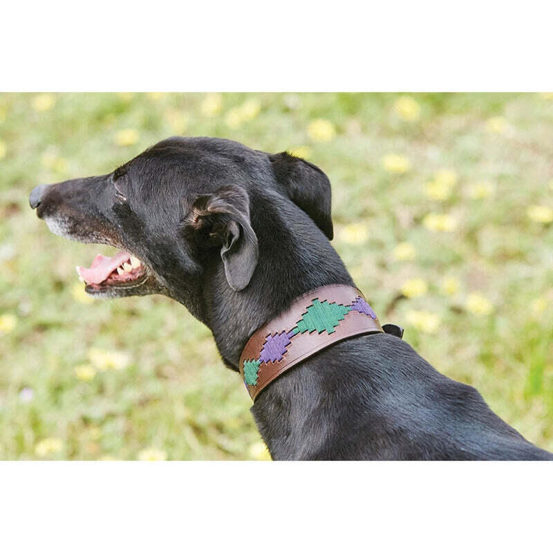 Hundehalsband aus Leder Weatherbeeta Lurcher Polo 2/3