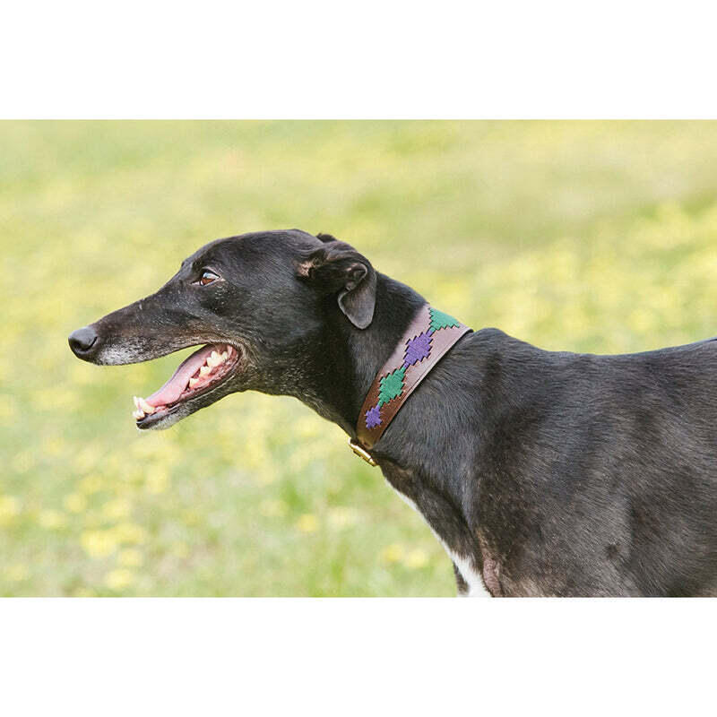 Hundehalsband aus Leder Weatherbeeta Lurcher Polo 3/3