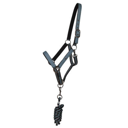 Duo licol et longe collection pour cheval QHP