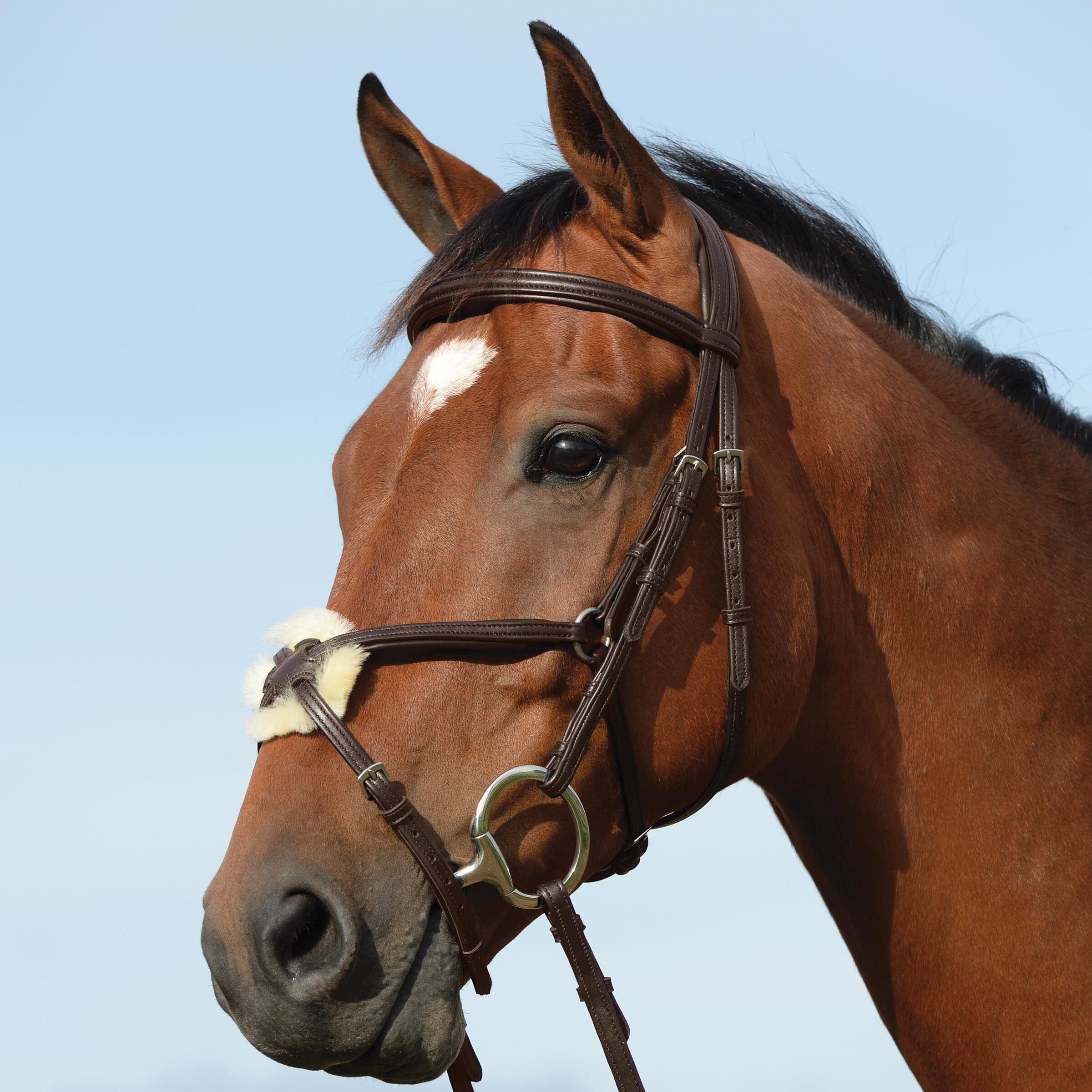 Weatherbeeta - Bridons Équitation Surélevée Rembourrée En Forme De 8 Weatherbeeta Collegiate Sy - Bridon - Marron - Cs - Decathlon