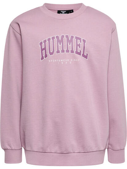 Enfiler Sweat-Shirt Hmlfast Garçon
