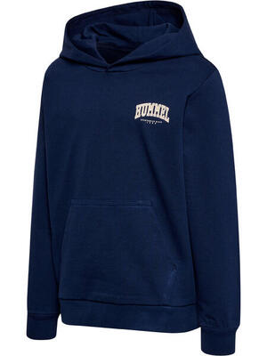 Instap hoodie hmlfast jongens